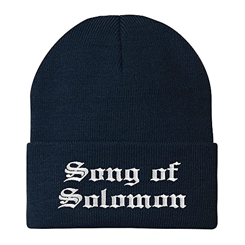 Trendy Apparel Shop Song of Solomon Old English Embroidered Long Cuff Beanie