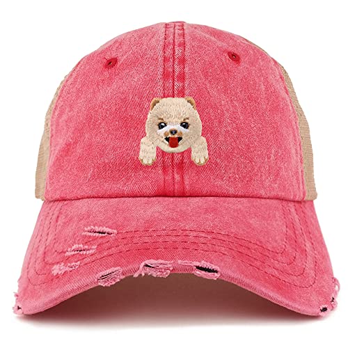 AP0020-NIS-GN-1012-RED
