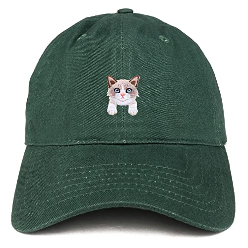 AP0067-SAN-CP77-HTR