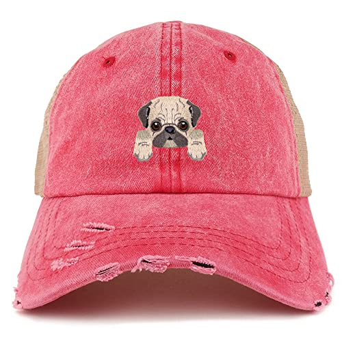 AP0013-NIS-GN-1012-RED