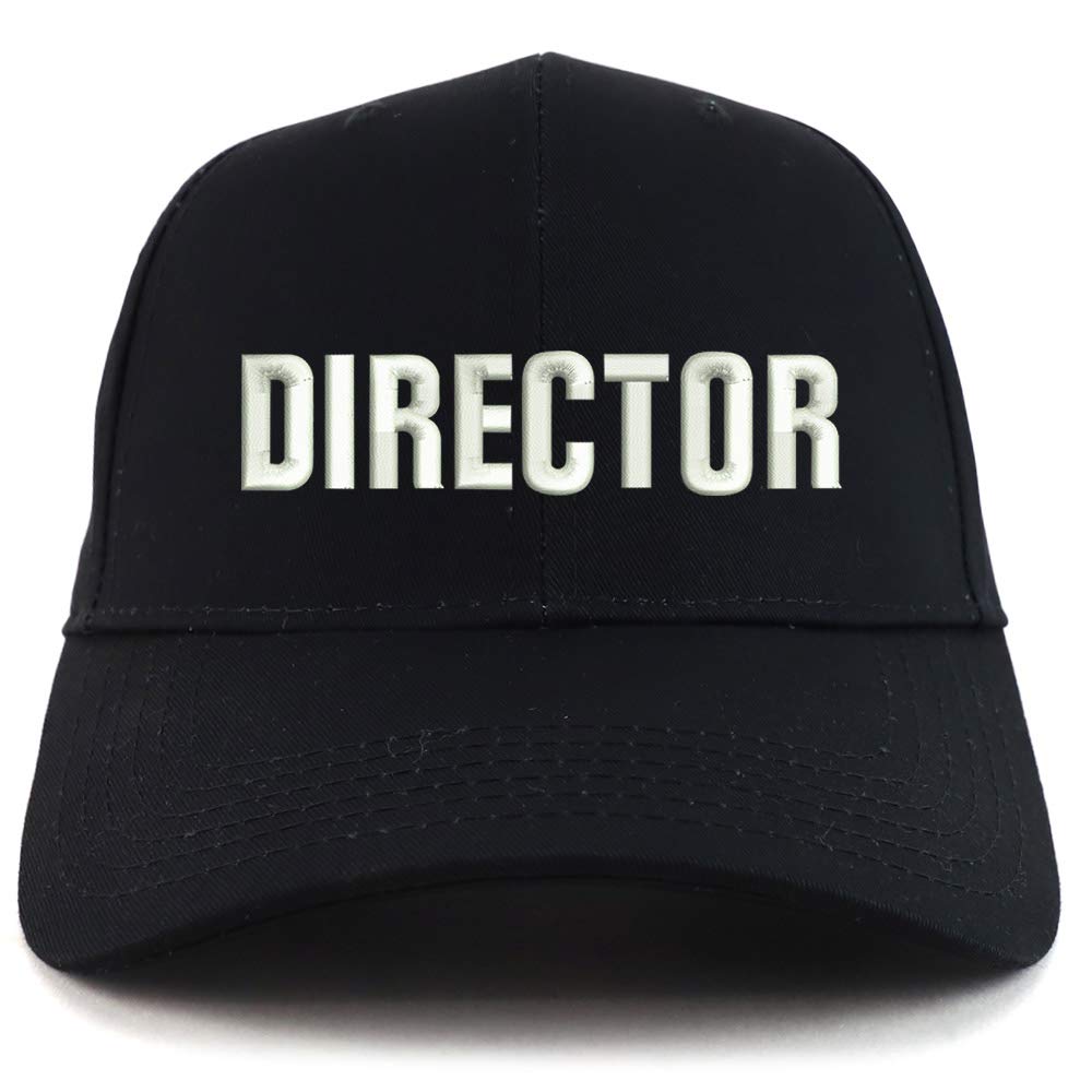 Trendy Apparel Shop Director Embroidered Sturctured Baseball Cap