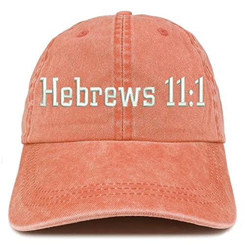 Trendy Apparel Shop Hebrews 11:1 Washed Pigment Dyed Baseball Cap
