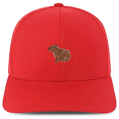 AP0161-NIS-GNV-004-RED