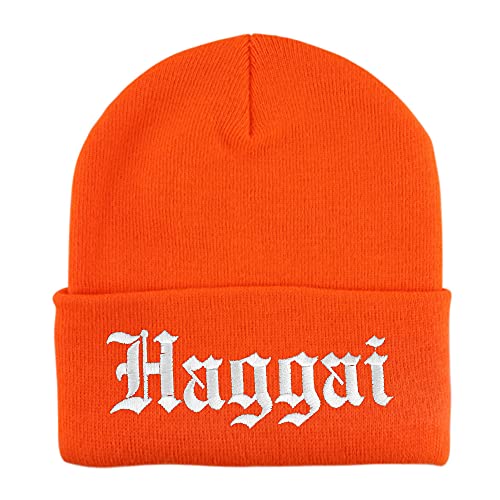 Trendy Apparel Shop Haggai Old English Embroidered Long Cuff Beanie