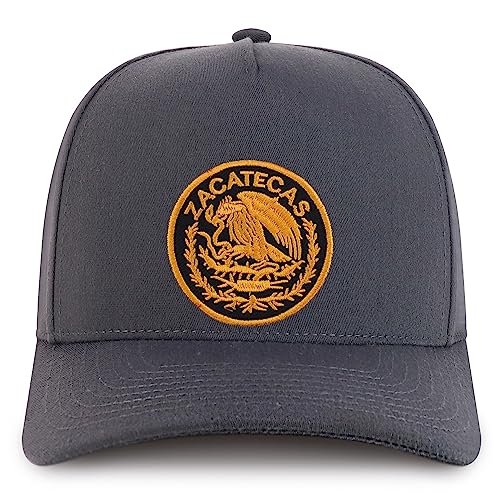 MXPATCH-ZAC-NIS-GNV-007-CHA