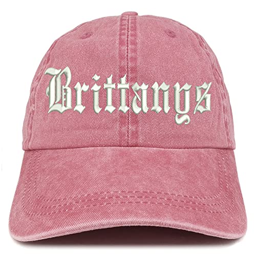 Trendy Apparel Shop Old English Brittanys Washed Pigment Dyed Baseball Cap