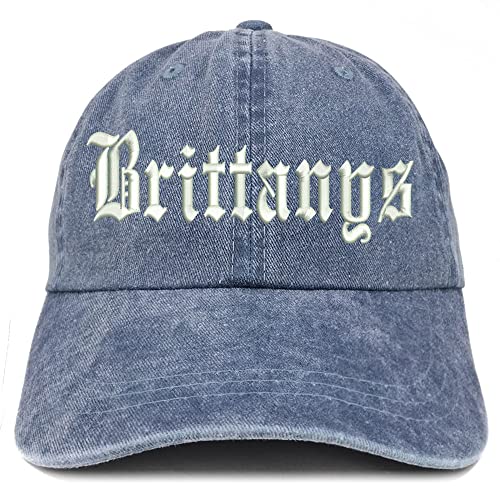 Trendy Apparel Shop Old English Brittanys Washed Pigment Dyed Baseball Cap