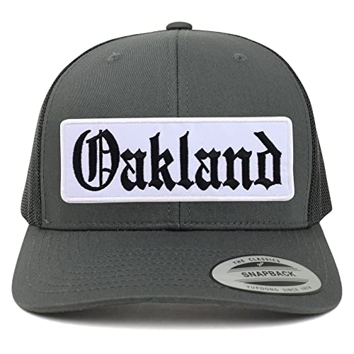 EP-TXT2511-FLX-6606-CHA