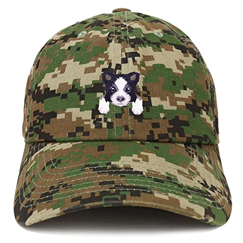 AP0001-SAN-CP77-DGC