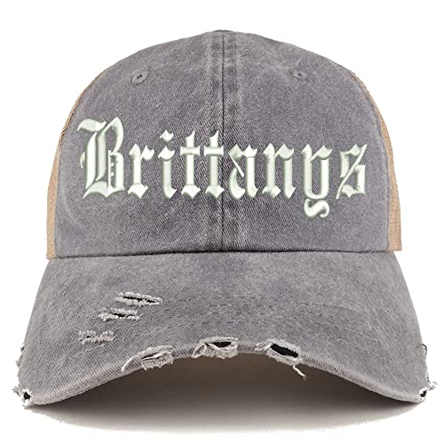 Trendy Apparel Shop Old English Brittanys Frayed Bill Trucker Mesh Back Cap