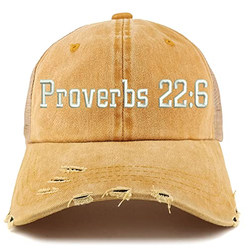 Trendy Apparel Shop Proverbs 22: 6 Frayed Bill Trucker Mesh Back Cap
