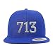 Trendy Apparel Shop Houston 713 Old English Embroidered Flatbill Snapback