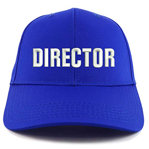 Trendy Apparel Shop Director Embroidered Sturctured Baseball Cap