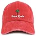 Trendy Apparel Shop Ibiza Spain with Palm Tree Embroidered Pigment Dyed Cotton Baseball Cap