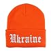 Trendy Apparel Shop Ukraine Old English Embroidered Long Cuff Beanie