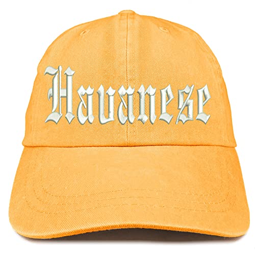 Trendy Apparel Shop Old English Havanese Washed Pigment Dyed Baseball Cap