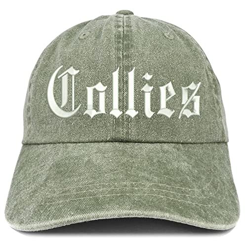 Trendy Apparel Shop Old English Collies Washed Pigment Dyed Baseball Cap