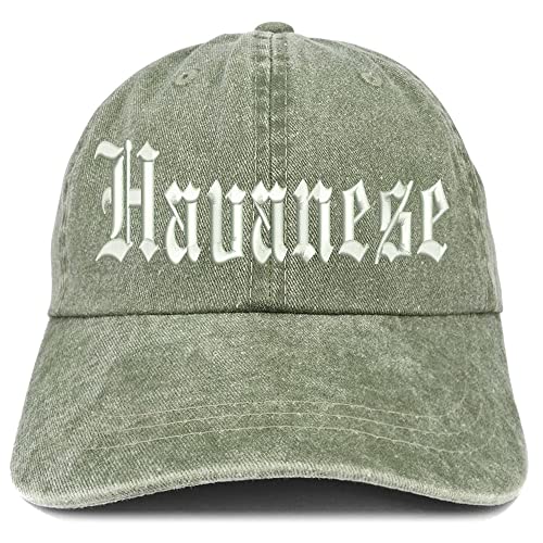 Trendy Apparel Shop Old English Havanese Washed Pigment Dyed Baseball Cap