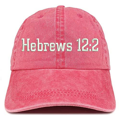 Trendy Apparel Shop Hebrews 12:2 Washed Pigment Dyed Baseball Cap