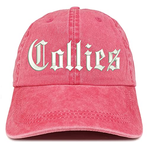 Trendy Apparel Shop Old English Collies Washed Pigment Dyed Baseball Cap