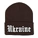 Trendy Apparel Shop Ukraine Old English Embroidered Long Cuff Beanie