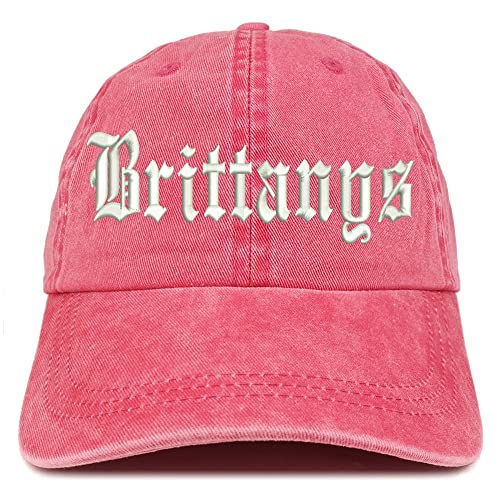 Trendy Apparel Shop Old English Brittanys Washed Pigment Dyed Baseball Cap