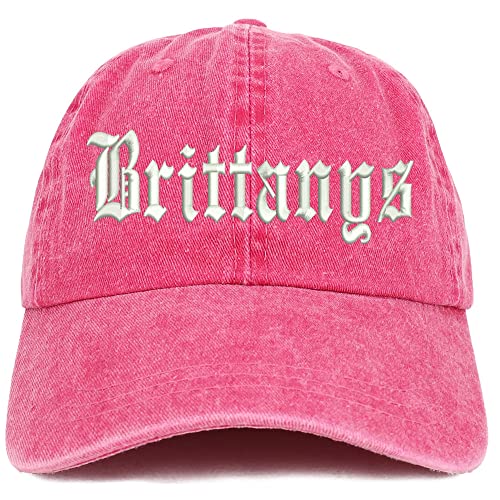 Trendy Apparel Shop Old English Brittanys Washed Pigment Dyed Baseball Cap