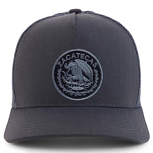 MXPATCH-ZAC-NIS-GNV-008M-CHA-C