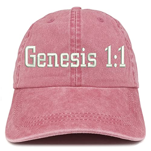 Trendy Apparel Shop Genesis 1:1 Washed Pigment Dyed Baseball Cap