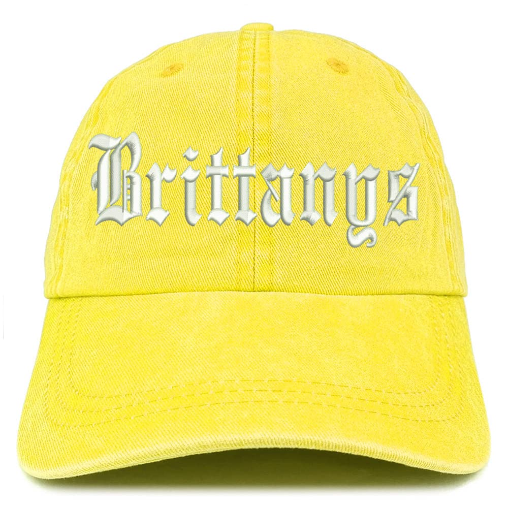 Trendy Apparel Shop Old English Brittanys Washed Pigment Dyed Baseball Cap