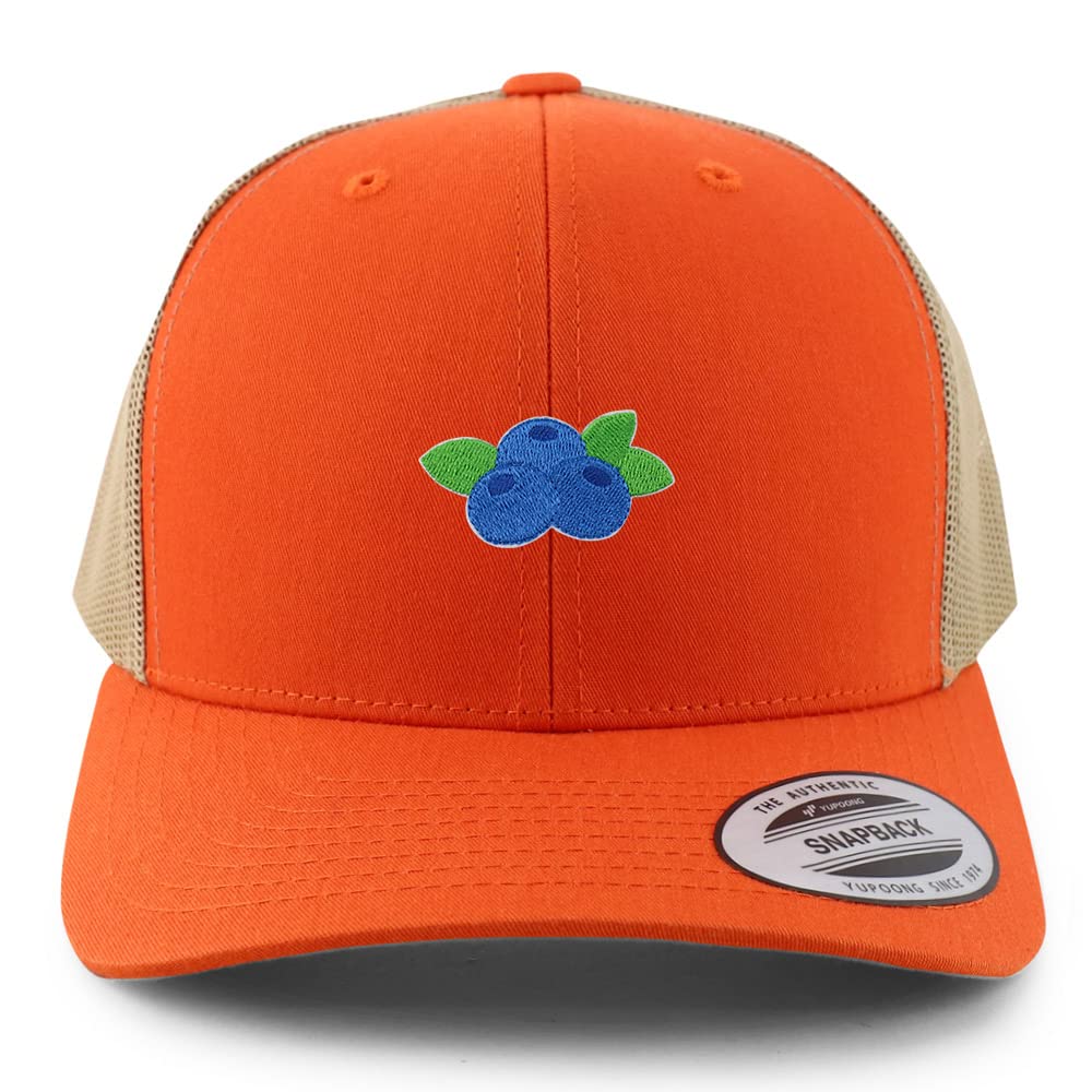 AP0118-FLX-6606-ORG-TAN