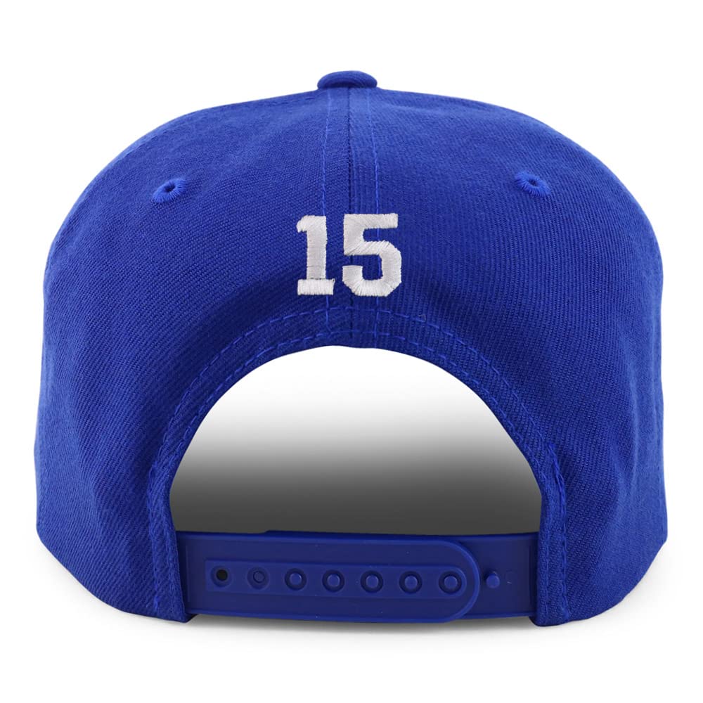 Trendy Apparel Shop Small Number 15 Back Embroidered Flatbill Snapback