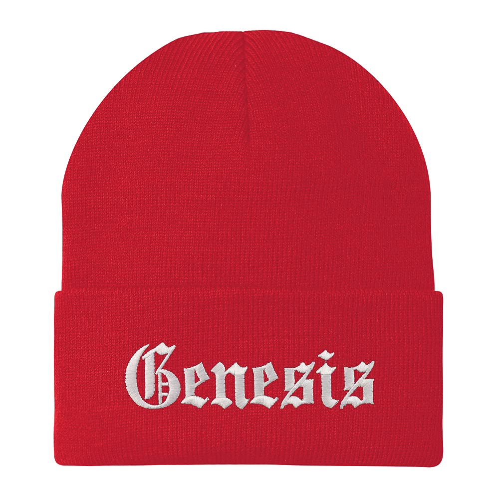 Trendy Apparel Shop Genesis Old English Embroidered Long Cuff Beanie