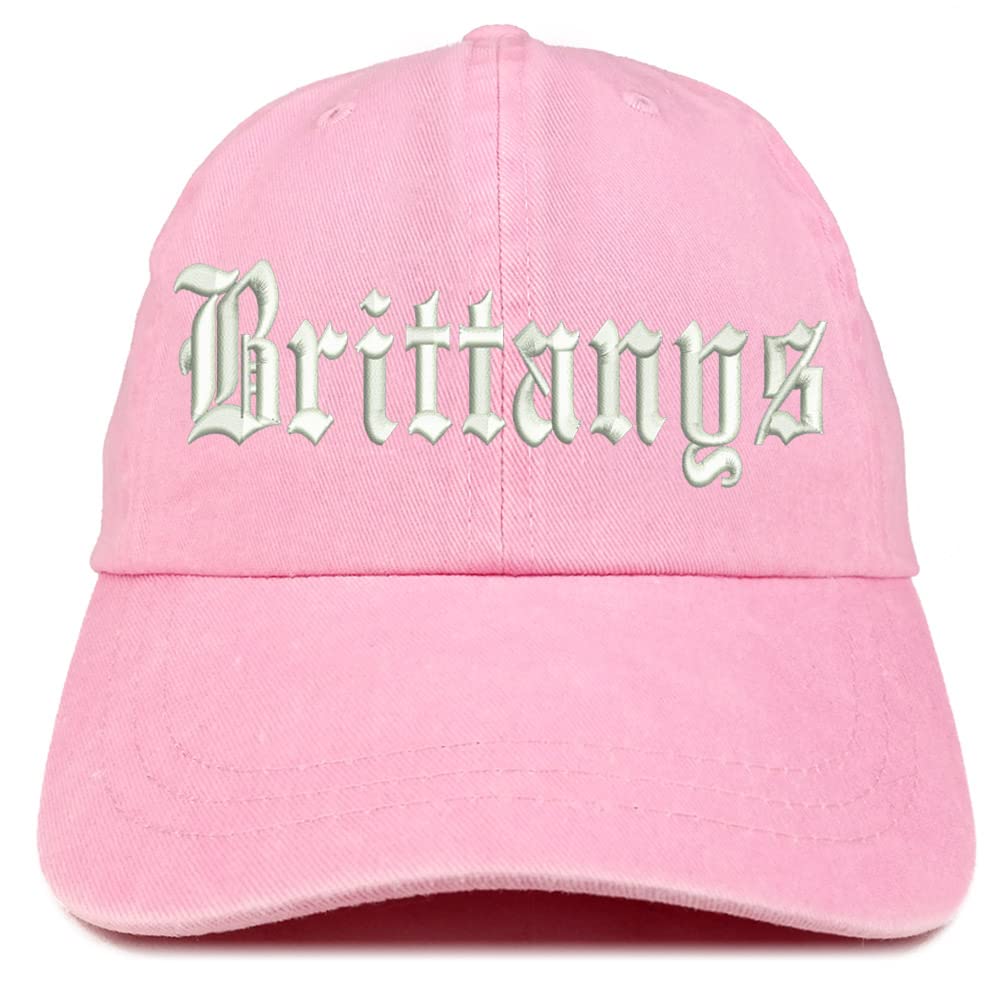 Trendy Apparel Shop Old English Brittanys Washed Pigment Dyed Baseball Cap