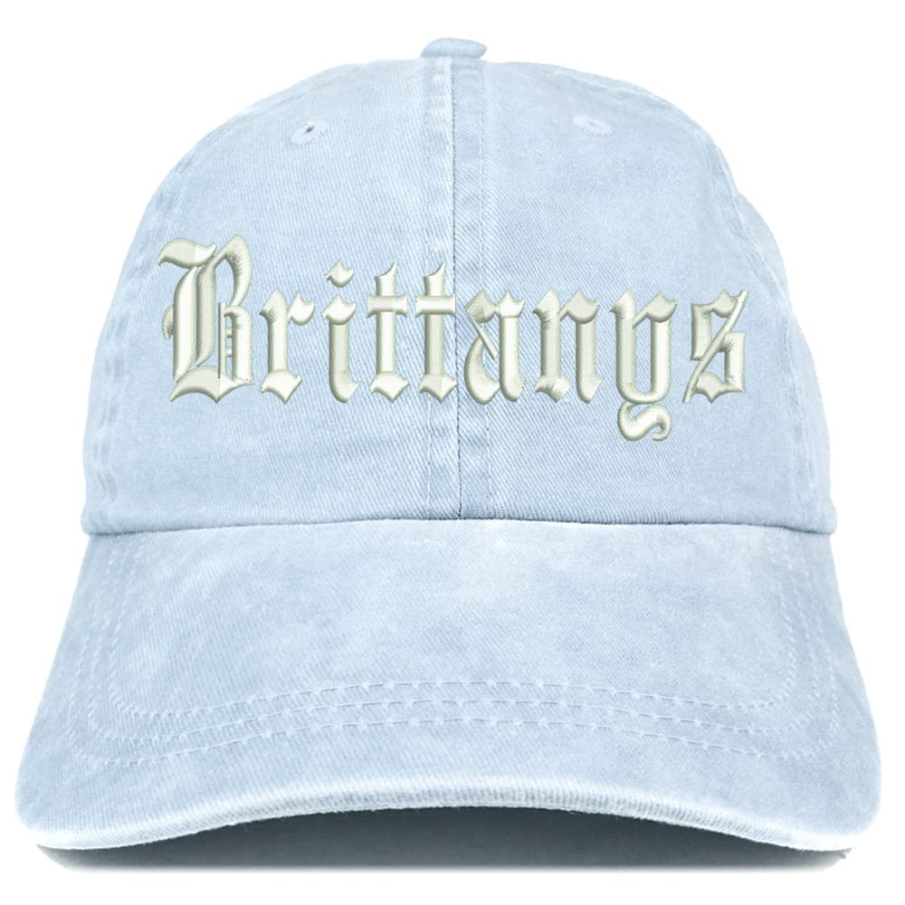 Trendy Apparel Shop Old English Brittanys Washed Pigment Dyed Baseball Cap