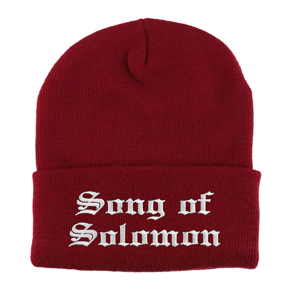 Trendy Apparel Shop Song of Solomon Old English Embroidered Long Cuff Beanie