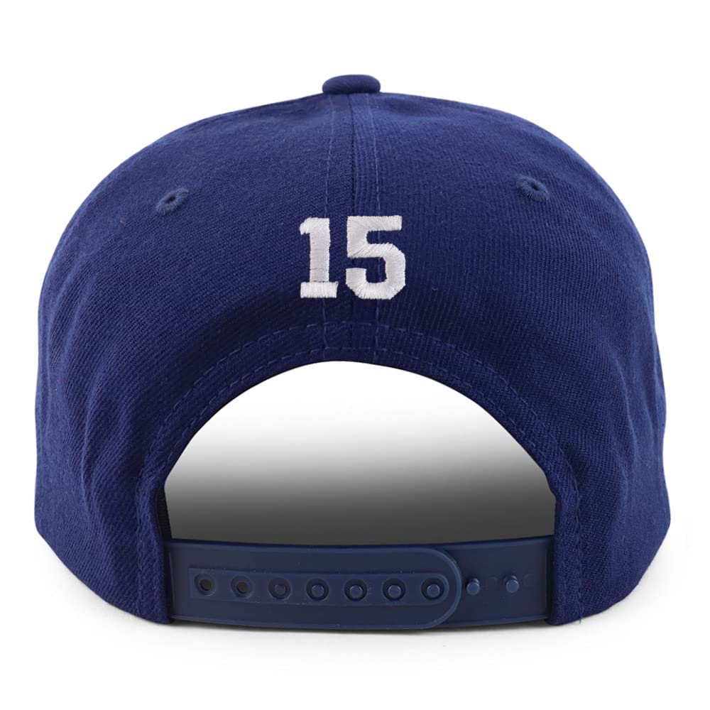 Trendy Apparel Shop Small Number 15 Back Embroidered Flatbill Snapback