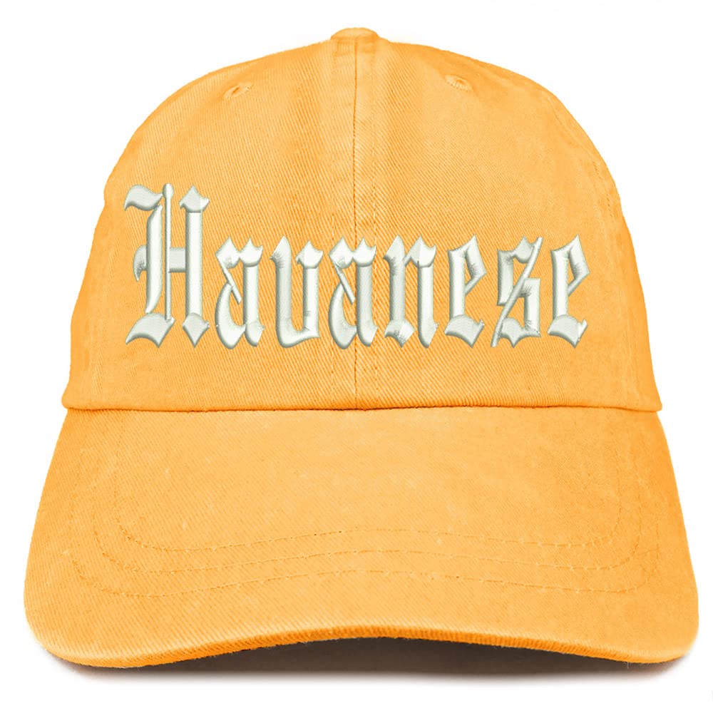 Trendy Apparel Shop Old English Havanese Washed Pigment Dyed Baseball Cap