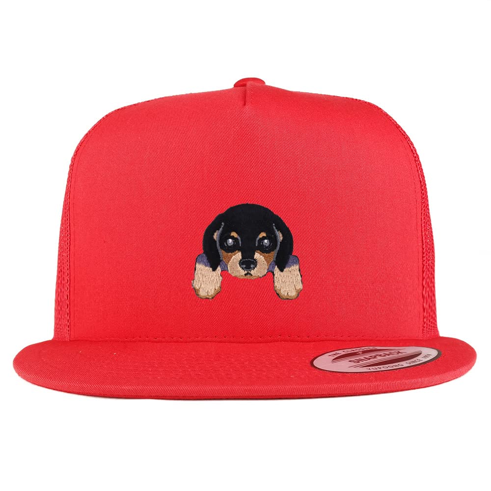 AP0010-FLX-6006-RED