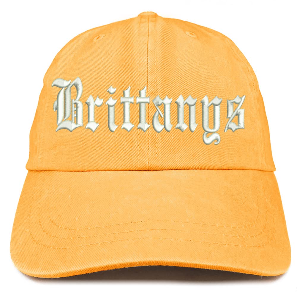 Trendy Apparel Shop Old English Brittanys Washed Pigment Dyed Baseball Cap