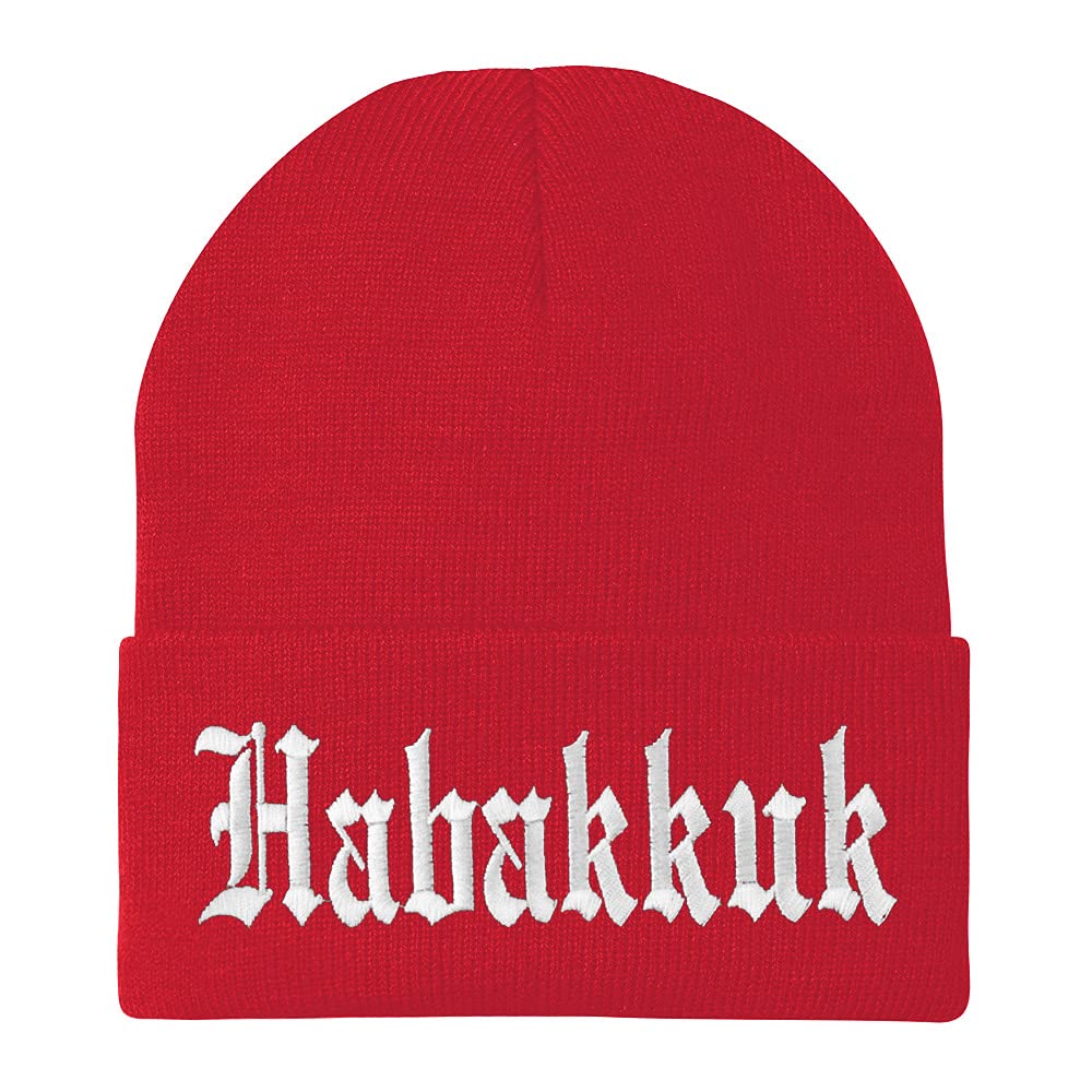 Trendy Apparel Shop Habakkuk Old English Embroidered Long Cuff Beanie