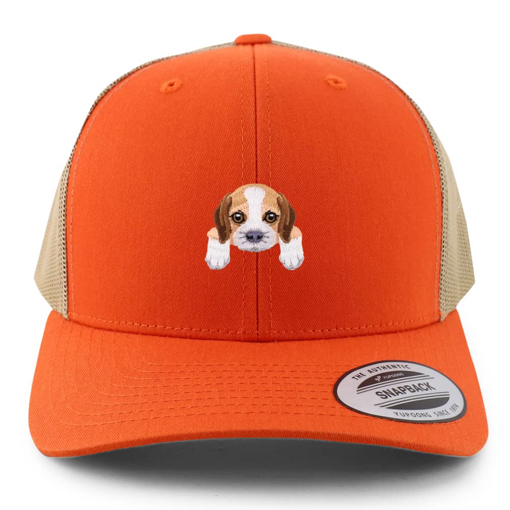 AP0019-FLX-6606-ORG-TAN