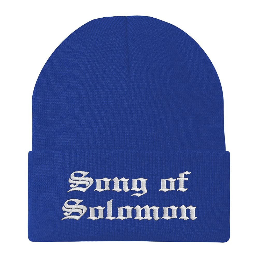 Trendy Apparel Shop Song of Solomon Old English Embroidered Long Cuff Beanie