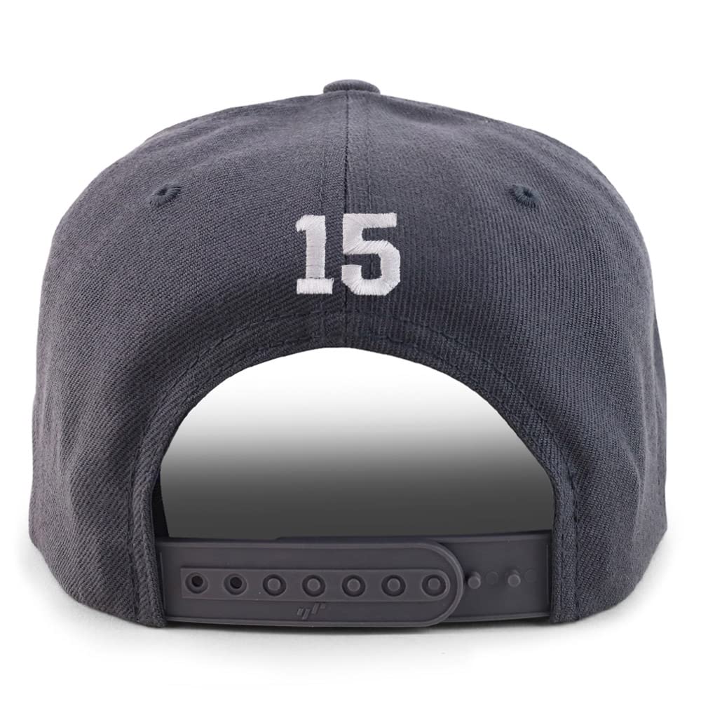 Trendy Apparel Shop Small Number 15 Back Embroidered Flatbill Snapback