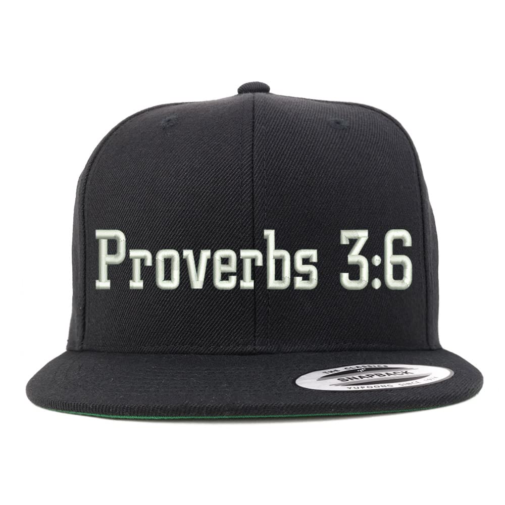 Trendy Apparel Shop Proverbs 3:6 Embroidered Flatbill Snapback