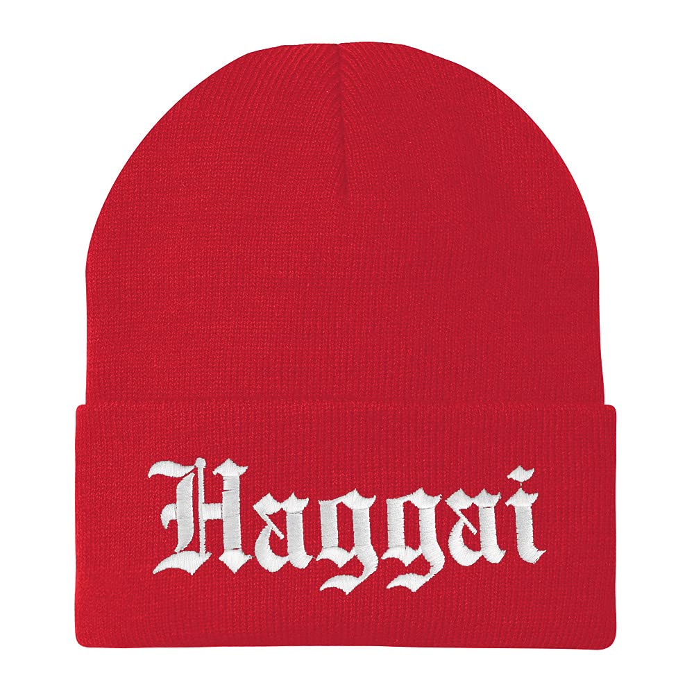 Trendy Apparel Shop Haggai Old English Embroidered Long Cuff Beanie
