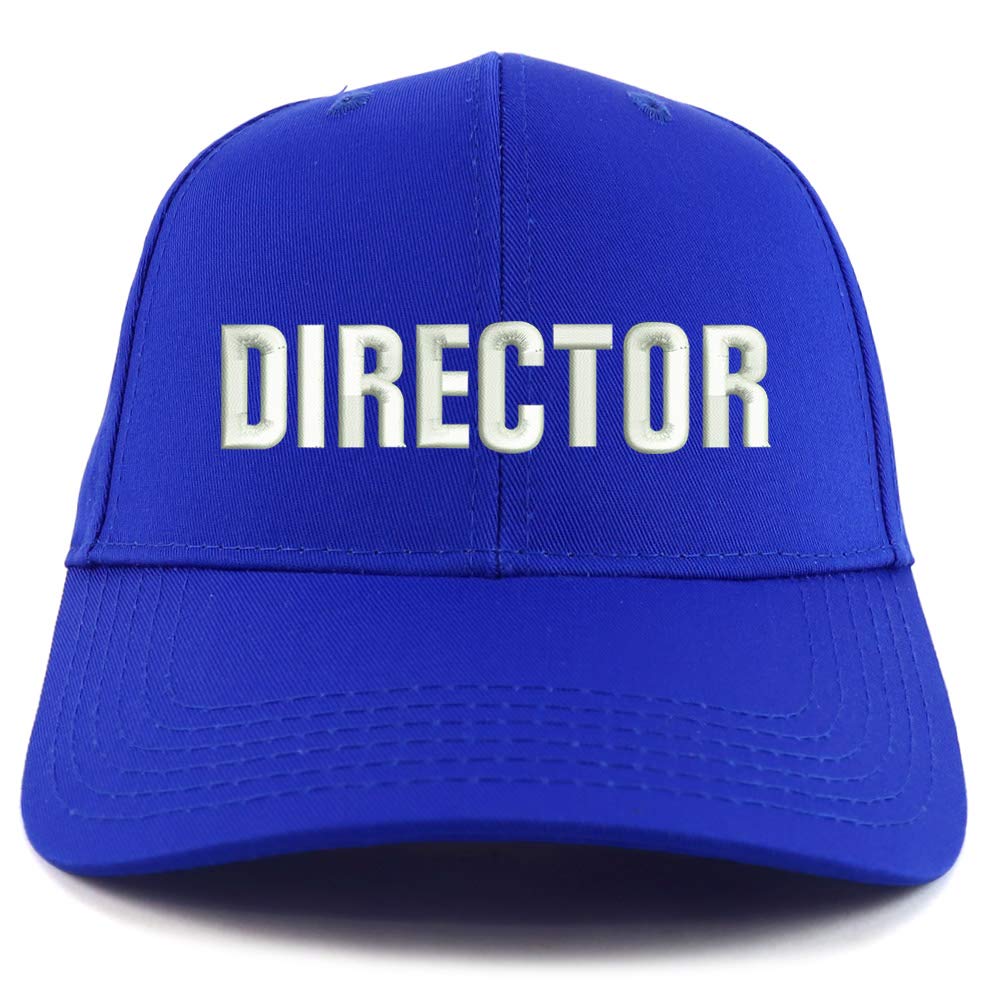 Trendy Apparel Shop Director Embroidered Sturctured Baseball Cap