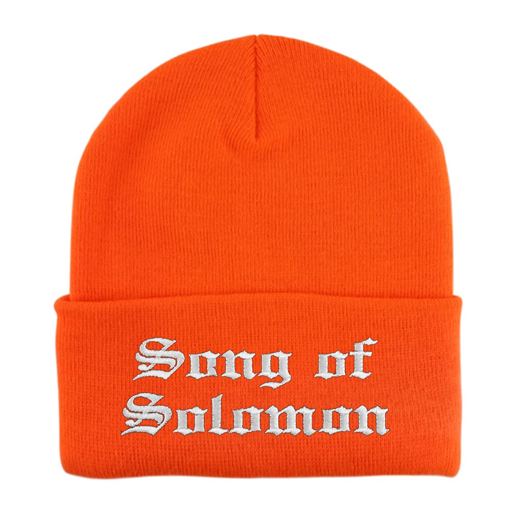 Trendy Apparel Shop Song of Solomon Old English Embroidered Long Cuff Beanie
