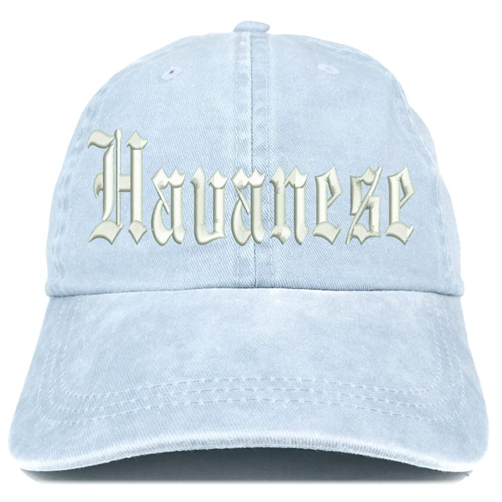 Trendy Apparel Shop Old English Havanese Washed Pigment Dyed Baseball Cap