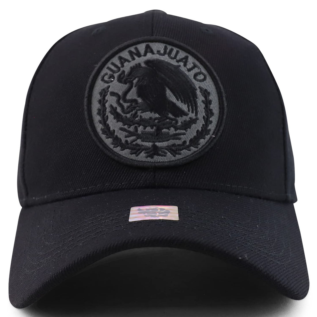 Trendy Apparel Shop Cities of Mexico Circular Logo Embroidered Structured Baseball Cap